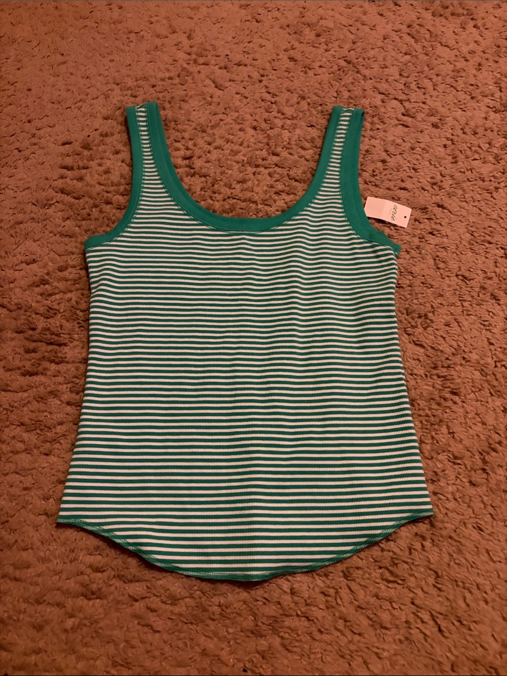 aerie Green and White Striped Tank Top
